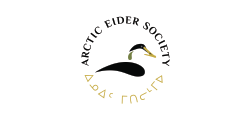 Sociedad del Eider Ártico